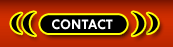 Transsexuals Phone Sex Contact Minneapolis